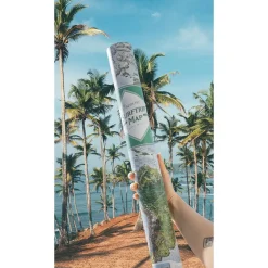 Awesome Maps Mapa Surftrip Green Edition Best Surf Beaches Of The World Green Edition
