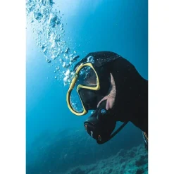 Beuchat Máscara de buceo 1Dive Silicone