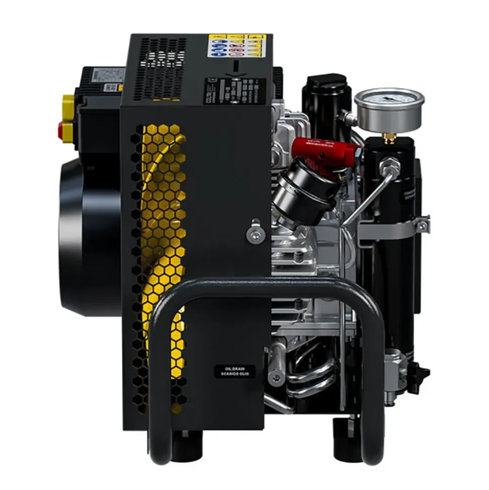 Coltri Compresor MCH6/EM 300 Bar 230V Portable