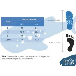 Dive Inspire Chanclas William Whale Shark