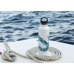 Fish Tank Botella Barracudas 600ml