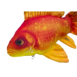 Gaby El cojín de pez de acuario Oro