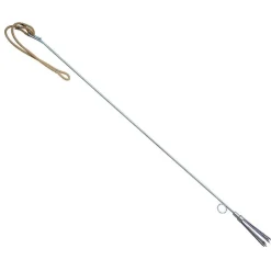 Imersion Pole Spear Prong with Band 6