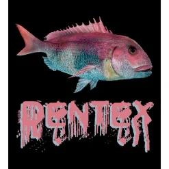 Kruskis Camiseta de manga corta Dentex