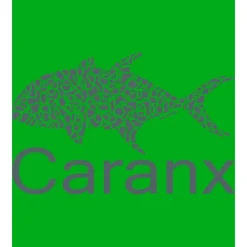 Kruskis Camiseta de manga corta Caranx