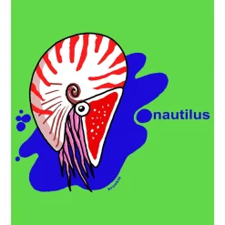 Kruskis Camiseta de manga corta Nautilus