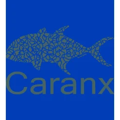 Kruskis Sudadera con capucha Caranx Two-Colour