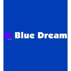 Kruskis Sudadera con capucha Blue Dream Two-Colour