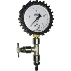 Metalsub Manómetro Medium Pressure Adjustment With Purge 0-25 Bar