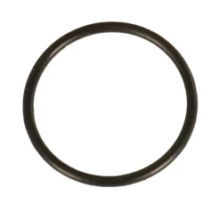 OMS Válvula p Valve Holder o-ring