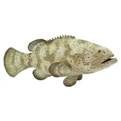 Safari Ltd Figura Goliath Grouper