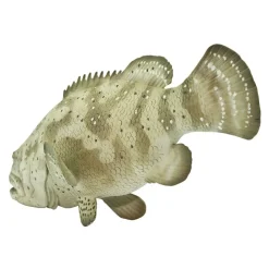 Safari Ltd Figura Goliath Grouper