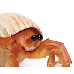 Safari Ltd Figura Hermit Crab