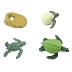 Safari Ltd Figura Life Cycle Of A Green Sea Turtle