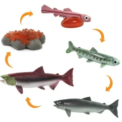 Safari Ltd Figura Life Cycle Salmon
