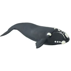 Safari Ltd Figura Right Whale