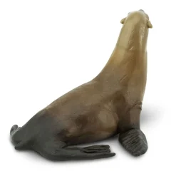 Safari Ltd Figura Sea Lion
