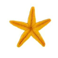 Safari Ltd Figura Starfish Sea Life