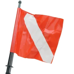 SEAC Bandera del personal